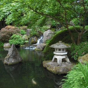 Meet your Posher, Nafisa